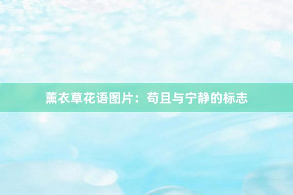 薰衣草花语图片：苟且与宁静的标志