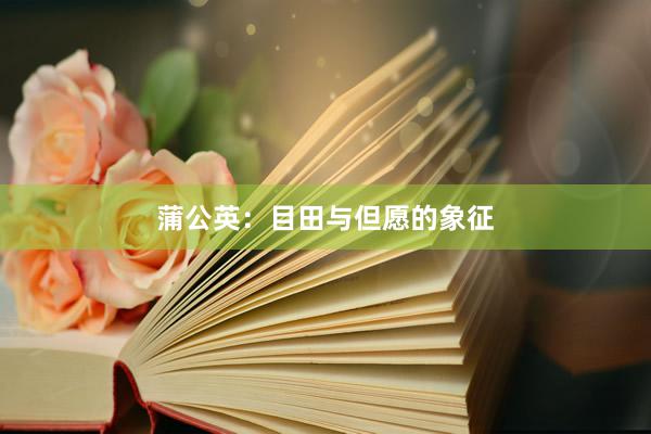 蒲公英：目田与但愿的象征