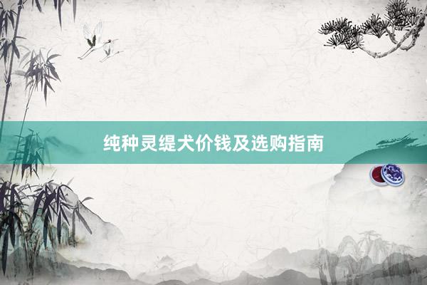 纯种灵缇犬价钱及选购指南