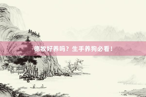德牧好养吗？生手养狗必看！