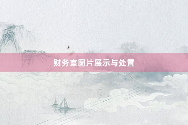 财务室图片展示与处置